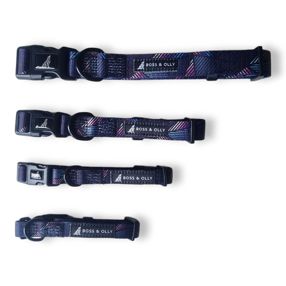 Boss & Olly Dog Collar (Midnight Dreams)