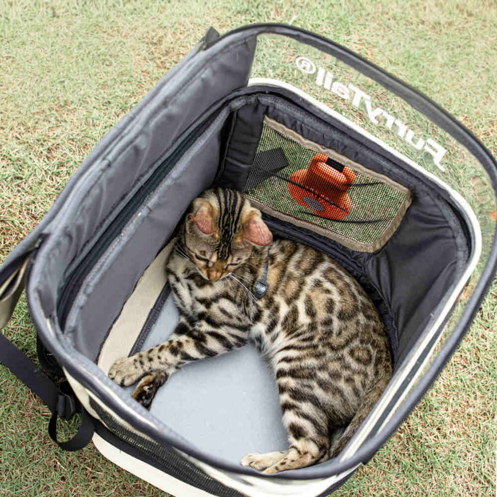 Furrytail Navigator Cat Backpack Carrier
